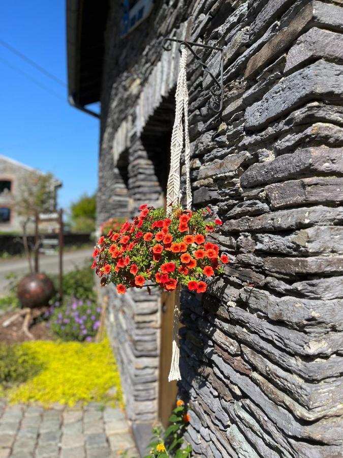 Le Temps D'Une Fugue Lierneux ภายนอก รูปภาพ